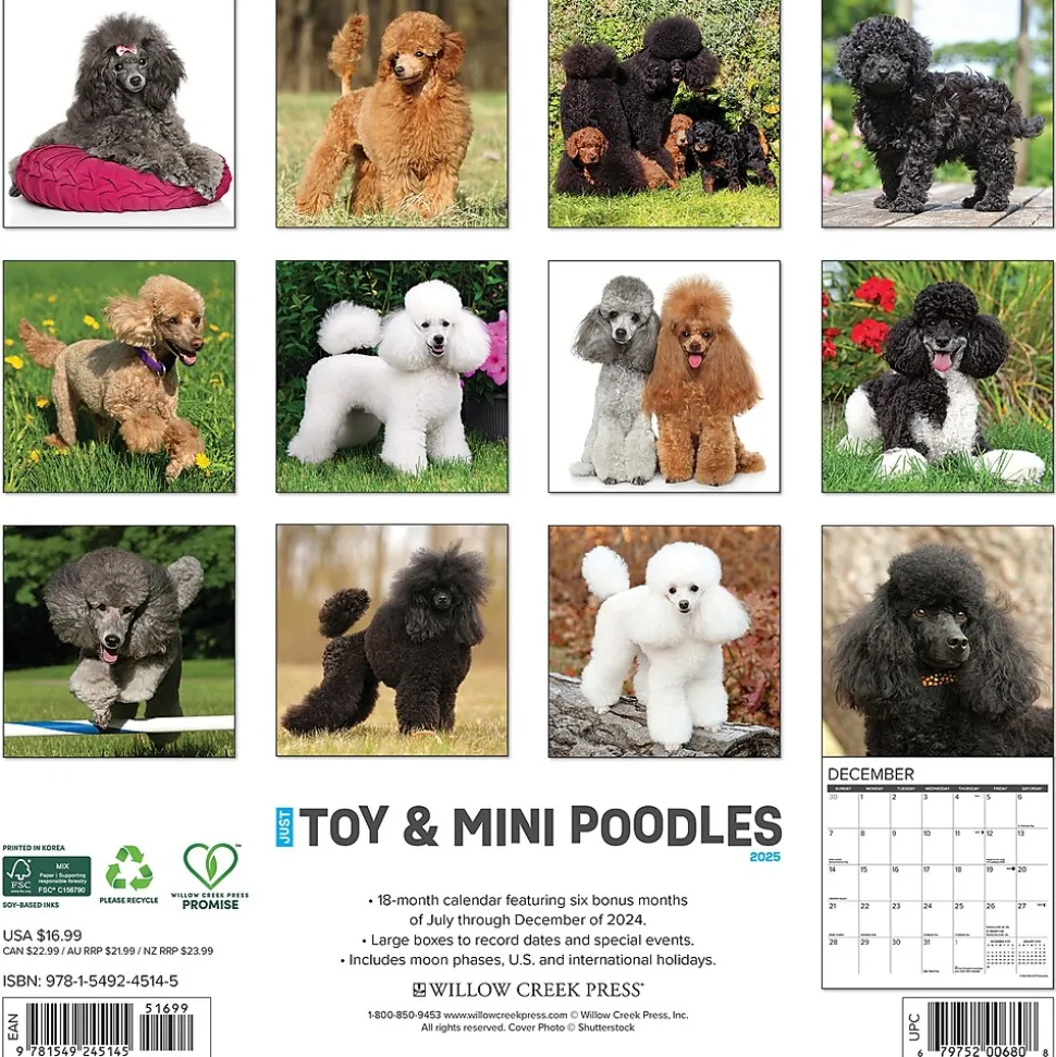 2025 Willow Creek Just Toy and Miniature Poodles 12" x 12" Monthly Wall Calendar (45145)