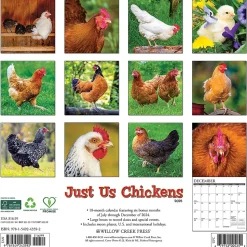 2025 Willow Creek Just Us Chickens 12" x 12" Monthly Wall Calendar (43592)