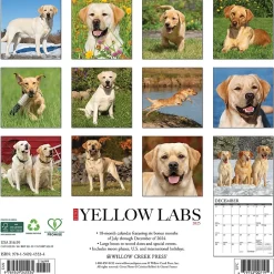 2025 Willow Creek Just Yellow Labs 12" x 12" Monthly Wall Calendar (45534)