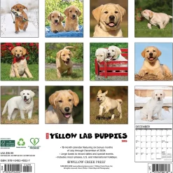 2025 Willow Creek Just Yellow Lab Puppies 12" x 12" Monthly Wall Calendar (45527)