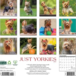 2025 Willow Creek Just Yorkies 12" x 12" Monthly Wall Calendar (45558)