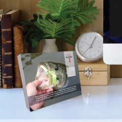 2025 Willow Creek Ken Schultz's Daily Fishing Tips 6