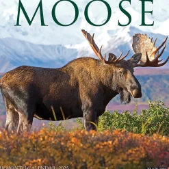 2025 Willow Creek Moose 12" x 12" Monthly Wall Calendar (44032)
