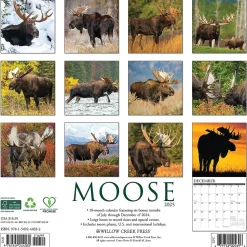 2025 Willow Creek Moose 12" x 12" Monthly Wall Calendar (44032)