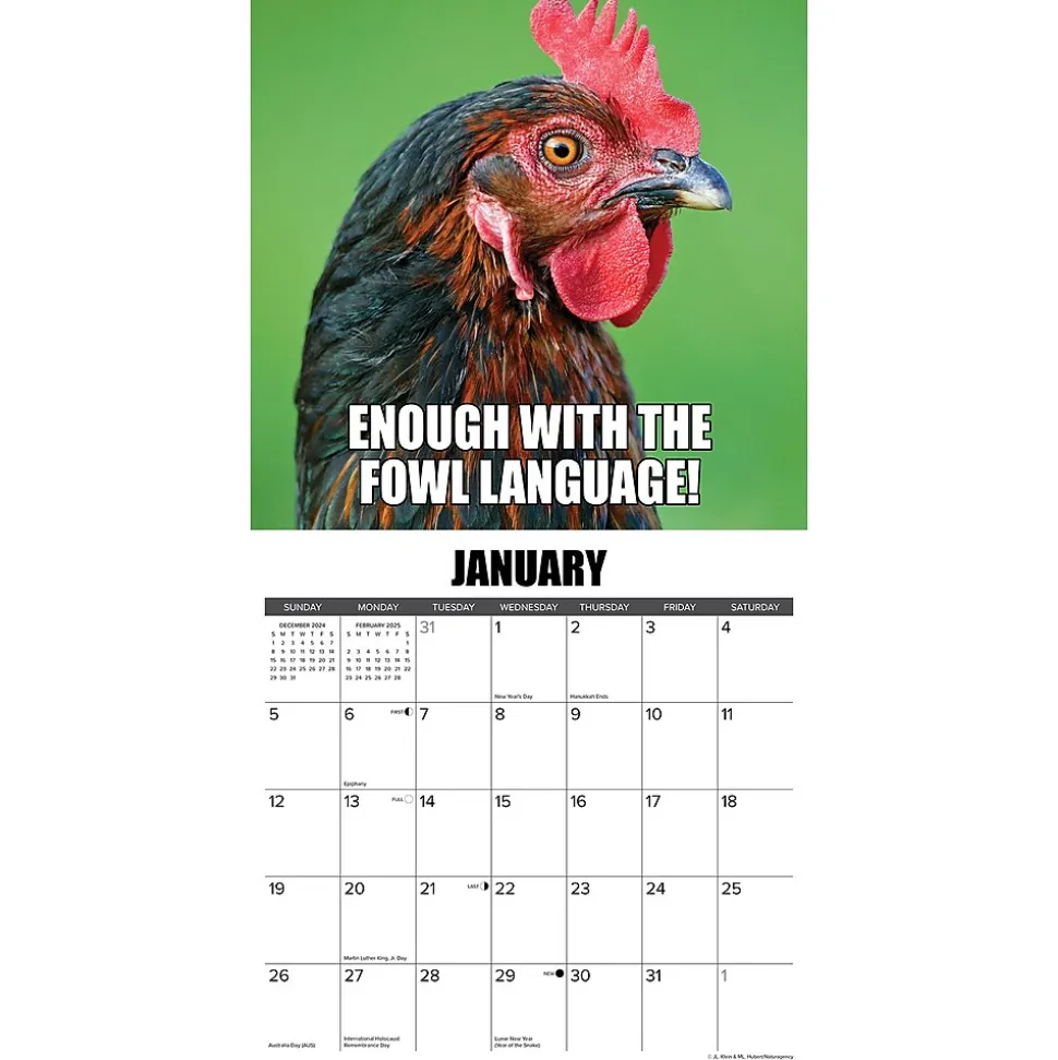 2025 Willow Creek No Clucks Given 12" x 12" Monthly Wall Calendar (44216)