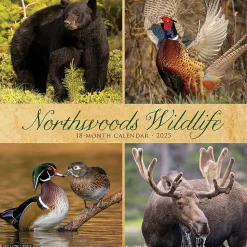2025 Willow Creek Northwoods Wildlife 12" x 12" Monthly Wall Calendar (44230)