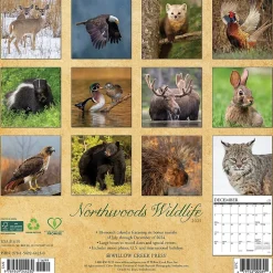 2025 Willow Creek Northwoods Wildlife 12" x 12" Monthly Wall Calendar (44230)
