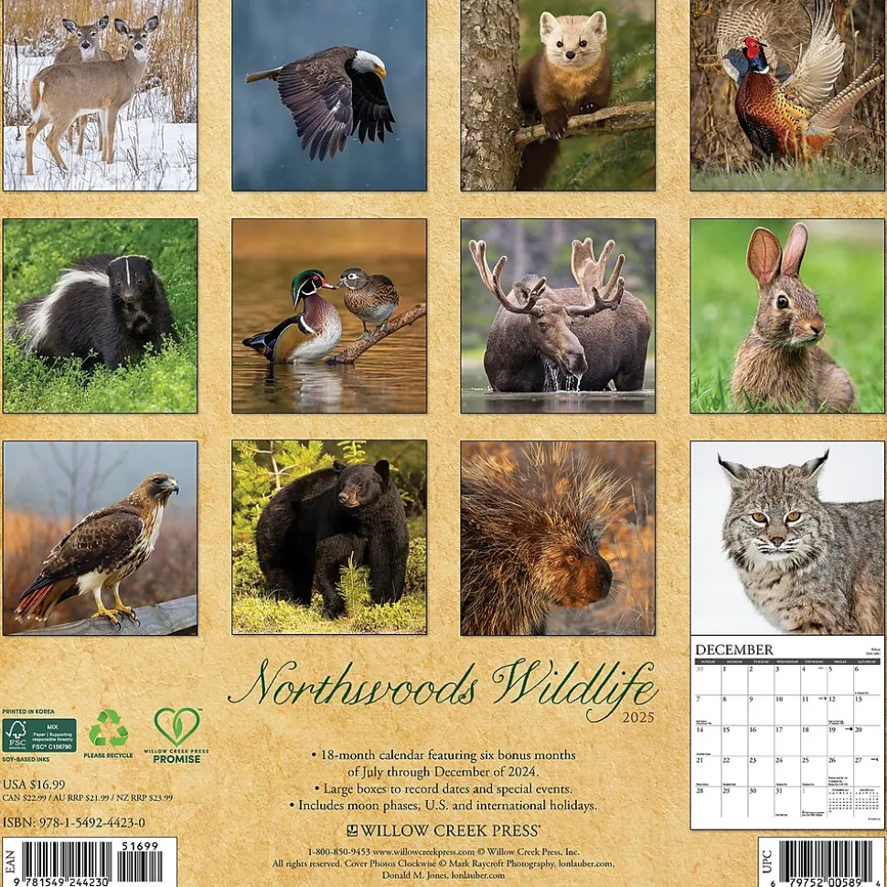 2025 Willow Creek Northwoods Wildlife 12" x 12" Monthly Wall Calendar (44230)