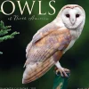 2025 Willow Creek Owls 12" x 12" Monthly Wall Calendar (44315)