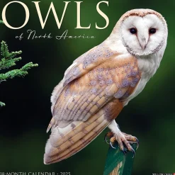 2025 Willow Creek Owls 12" x 12" Monthly Wall Calendar (44315)