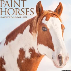 2025 Willow Creek Paint Horses 12" x 12" Monthly Wall Calendar (44353)