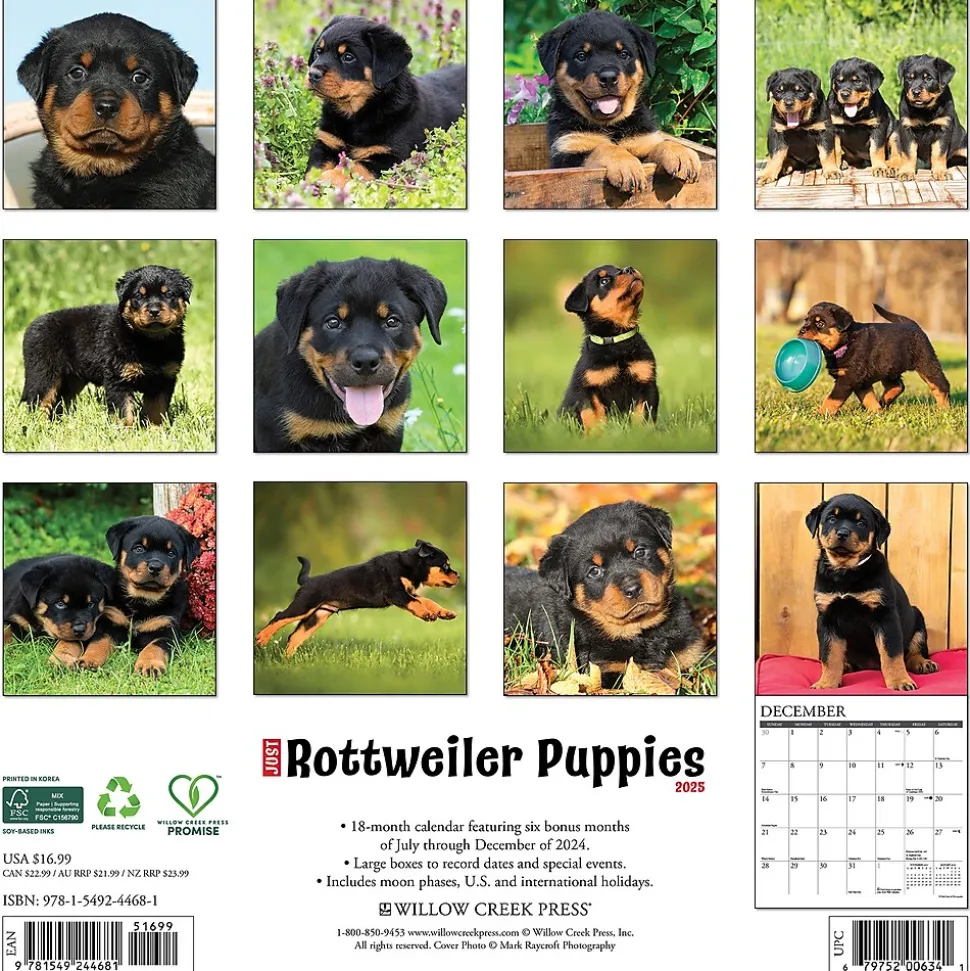 2025 Willow Creek Press Just Rottweiler Puppies 2025 Wall Calendar 12" x 12" (44681)