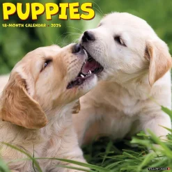 2025 Willow Creek Puppies 7" x 7" Yearly Wall Calendar (45862)