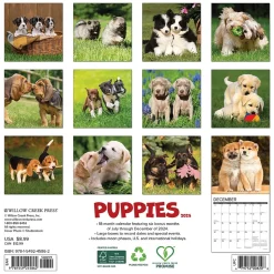 2025 Willow Creek Puppies 7" x 7" Yearly Wall Calendar (45862)
