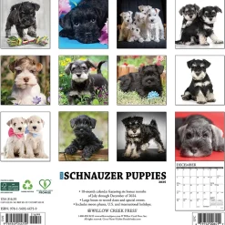2025 Willow Creek Schnauzer Puppies 12" x 12" Yearly Wall Calendar (44759)