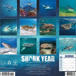 2025 Willow Creek Shark Year 12" x 12" Monthly Wall Calendar (46609)