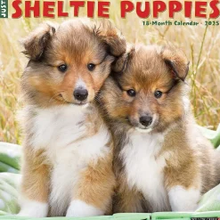 2025 Willow Creek Sheltie Puppies 12" x 12" Monthly Wall Calendar (44834)