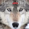 2025 Willow Creek Spirit of the Wolf 12" x 12" Monthly Wall Calendar (45008)