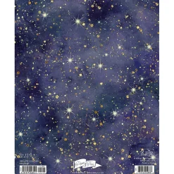 2025 Willow Creek Starry Night 7.5" x 9.5" Monthly Planner Cover (48511)