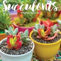 2025 Willow Creek Succulents 12" x 12" Monthly Wall Calendar (45022)