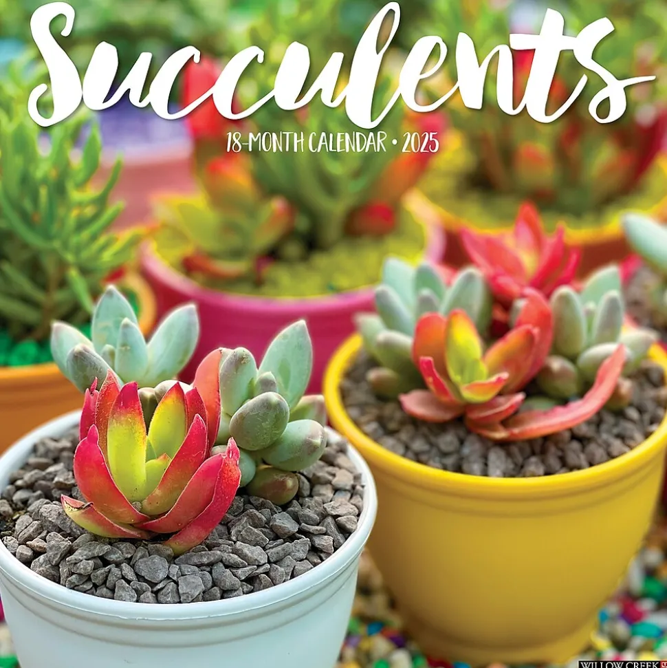 2025 Willow Creek Succulents 12" x 12" Monthly Wall Calendar (45022)