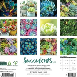 2025 Willow Creek Succulents 12" x 12" Monthly Wall Calendar (45022)