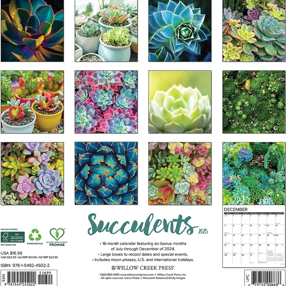 2025 Willow Creek Succulents 12" x 12" Monthly Wall Calendar (45022)
