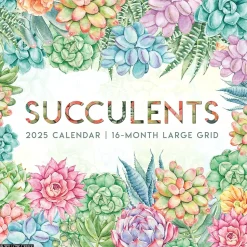 2025 Willow Creek Succulents 12" x 12" Yearly Wall Calendar (46616)