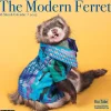 2025 Willow Creek The Modern Ferret 12" x 12" Monthly Wall Calendar (43967)