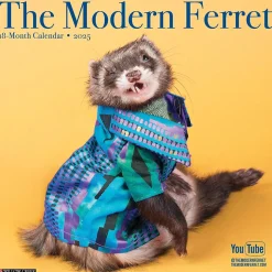 2025 Willow Creek The Modern Ferret 12" x 12" Monthly Wall Calendar (43967)