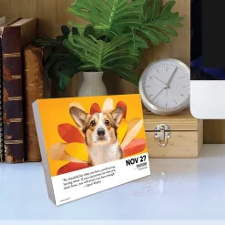 2025 Willow Creek What Dogs Teach Us 6