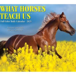2025 Willow Creek What Horses Teach Us 6