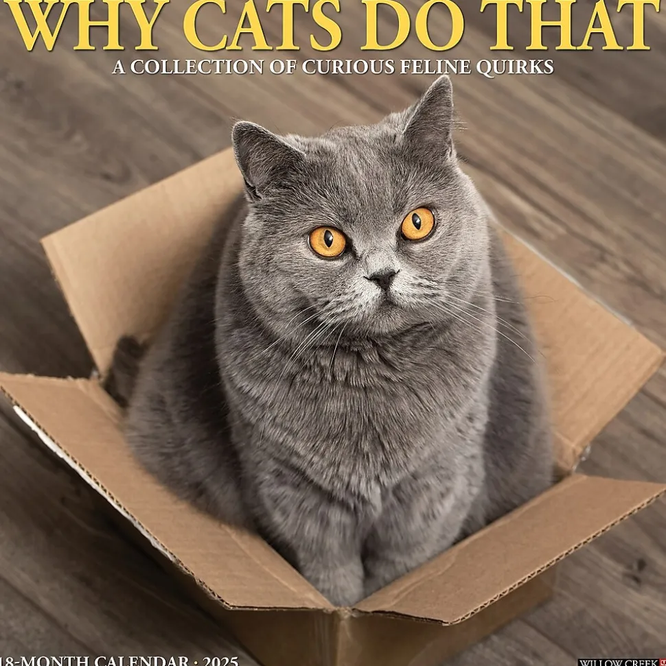 2025 Willow Creek Why Cats Do That 12" x 12" Monthly Wall Calendar (45435)