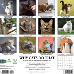 2025 Willow Creek Why Cats Do That 12" x 12" Monthly Wall Calendar (45435)