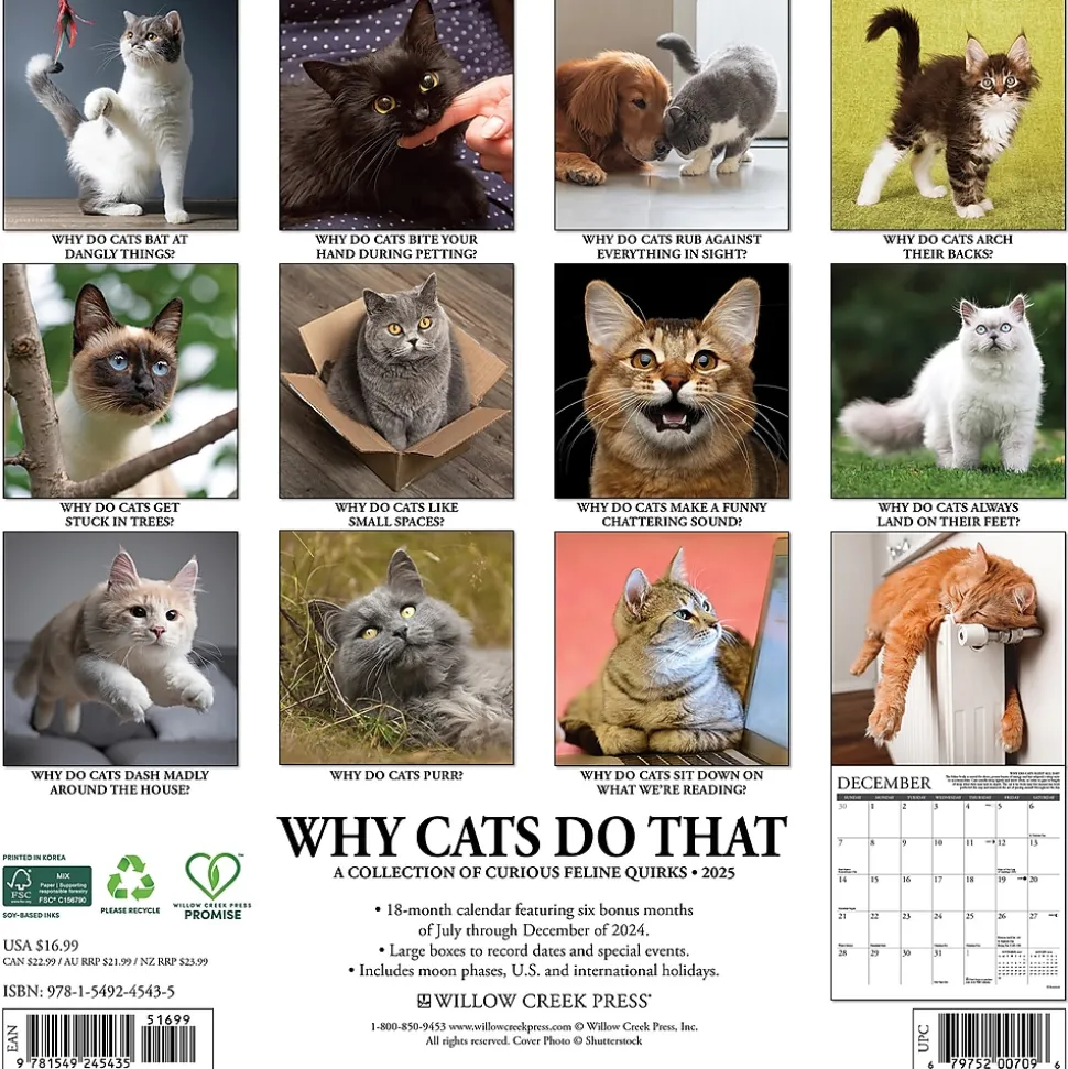 2025 Willow Creek Why Cats Do That 12" x 12" Monthly Wall Calendar (45435)