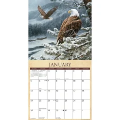 2025 Willow Creek Wild America 12