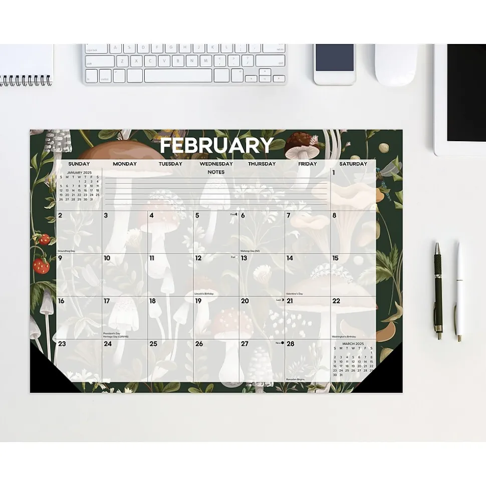 2025 Willow Creek Woodland Mushroom 17" x 12" Monthly Desk Pad Calendar (47866)