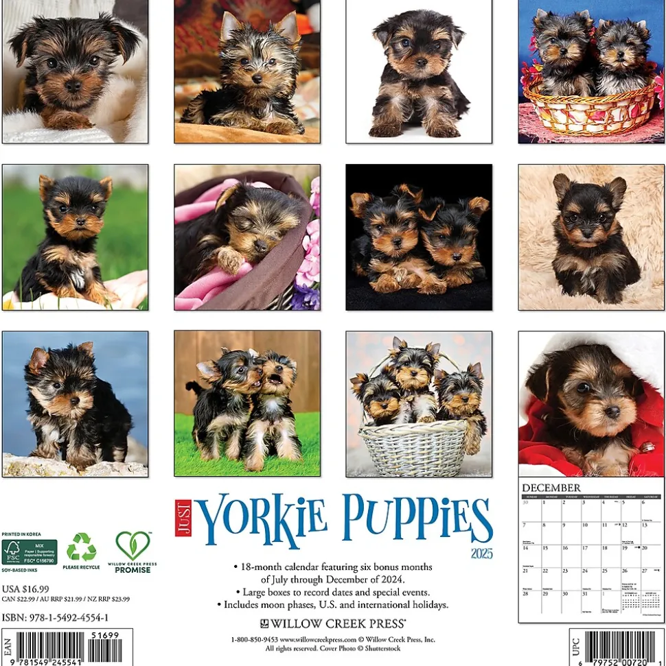 2025 Willow Creek Yorkie Puppies 12" x 12" Monthly Wall Calendar (45541)