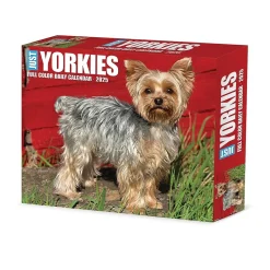 2025 Willow Creek Yorkies 6" x 5.5" Day-to-Day Calendar (41130)