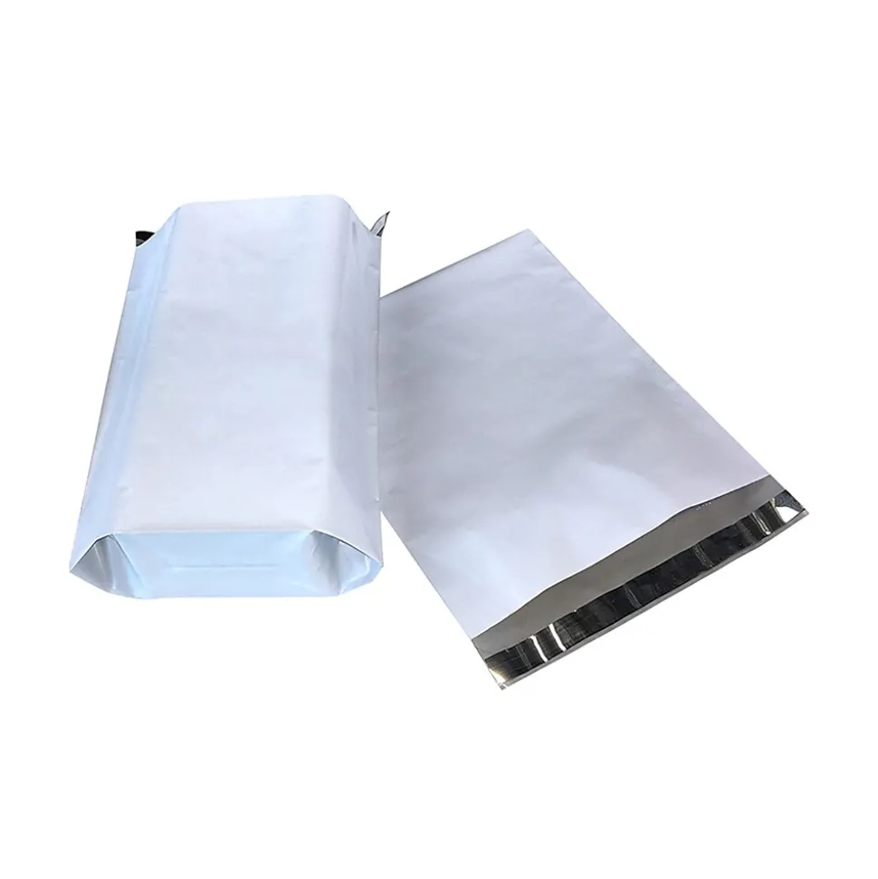 10" x 13" Expansion Self-Sealing Poly Mailer, 1000/Carton (5212)