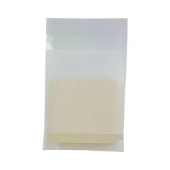 4" x 6" Reclosable Poly Bags, 2 Mil, Clear, 1000/Carton (3950A)