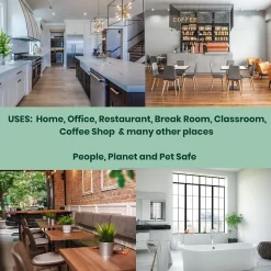 Absolute Green Natural Multipurpose Cleaner, Peppermint Scent, 25 Fl Oz., 2/Pack (PEPALL-2PK)