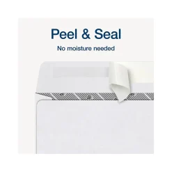 Adams 2024 Self-Seal Security-Tinted Double-Window 1099 Tax Envelope, 9