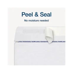 Adams 2024 Self-Seal Security-Tinted Double-Window 1099 Tax Envelope, 8.75