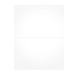 Adams 2024 W-2 Blank Laser/Inkject Tax Forms, 100/pack (BLW2Q)