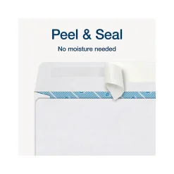 Adams Self-Seal Security-Tinted Double-Window W-2 Tax Envelope, White, 25/Pack (STAX2-24)