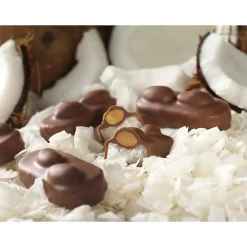 Almond Joy Snack Size Milk Chocolate Candy Bar, 20.1 oz., 2/Pack (246-00348)