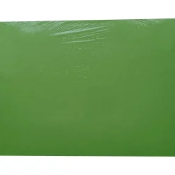 American Paper 12" x 18" Construction Paper, Bright Green, 50 Sheets/Pack (CP12BGR)