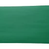 American Paper 12" x 18" Construction Paper, Holiday Green, 50 Sheets/Pack (CP12HGR)