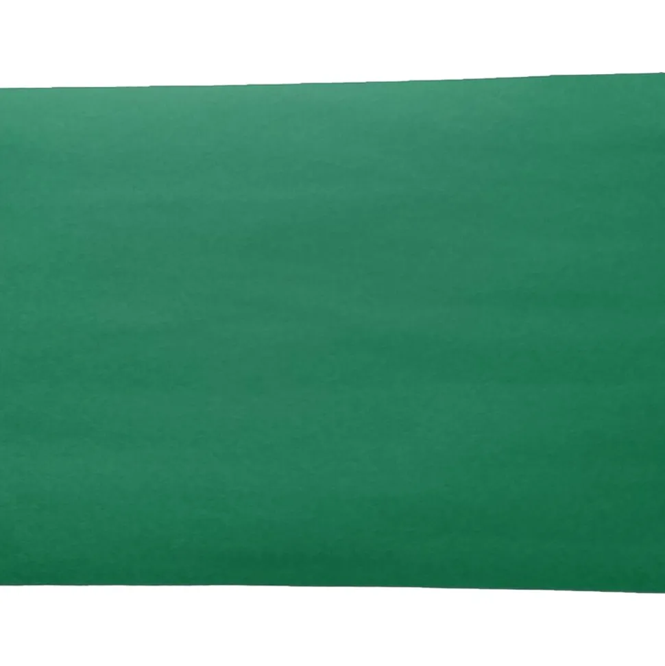American Paper 12" x 18" Construction Paper, Holiday Green, 50 Sheets/Pack (CP12HGR)